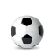 Voetbal PVC wit/zwart