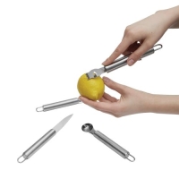 4-delige RVS fruitmessenset zilver