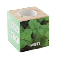 Houten kweekset munt hout