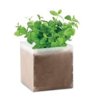 Doosje met mint zaadjes beige