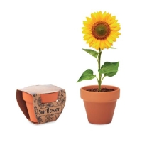 Kweekpotje met zonnebloem hout