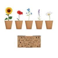 Bloemenkweekset Flowers beige