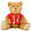 Teddybeer met hoodie rood