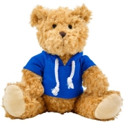 Teddybeer met hoodie