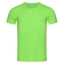 Stedman t-shirt Crewneck green flash,l