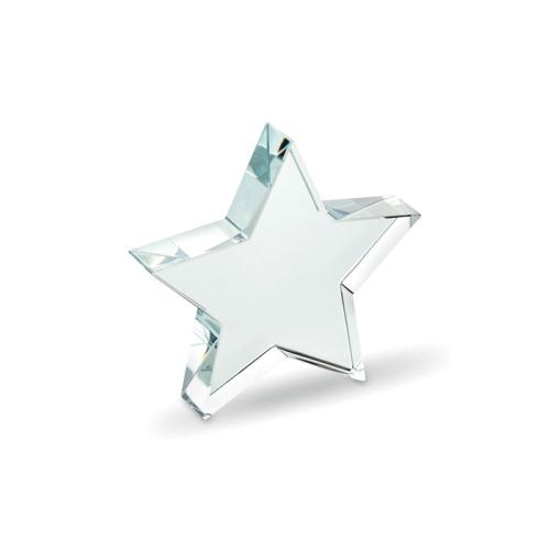 Glazen ster award Starward transparant