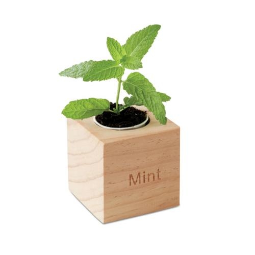 Houten kweekset munt hout