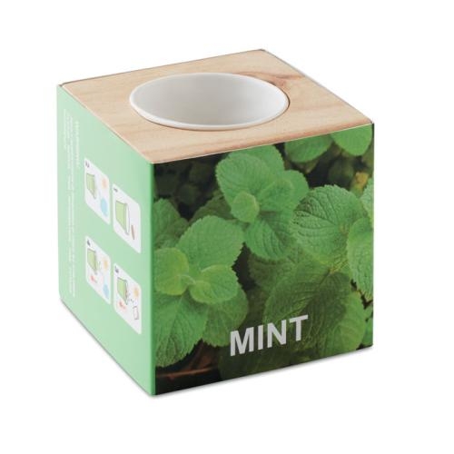 Houten kweekset munt hout