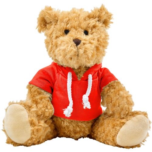 Teddybeer met hoodie rood