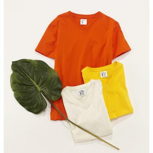 Heren T-shirt V-hals ecologisch Fairtrade katoen geel,l