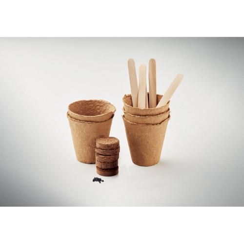 Bloemenkweekset Flowers beige