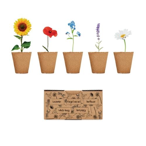 Bloemenkweekset Flowers beige