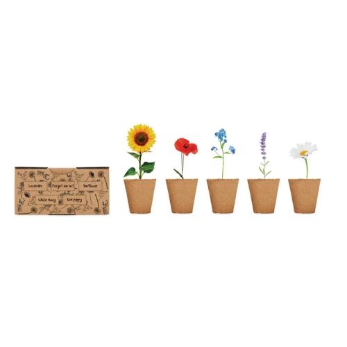 Bloemenkweekset Flowers beige