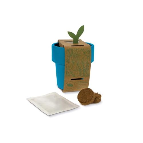 Hot-but-cool beker kerstomatenzaadjes blauw