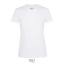 Regent T-shirt dames wit,2xl