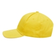 Geel