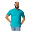 Tropical Blue