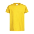 sunflower yellow
