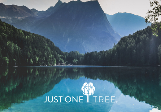 Just One Tree