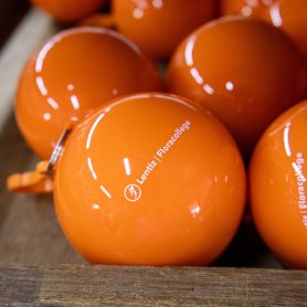 Oranje ponchobal