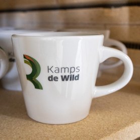 Kop en schotel Noa